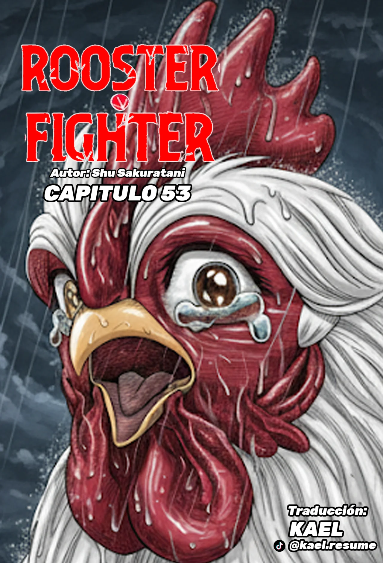 Niwatori Fighter Capítulo 53 - Page 4