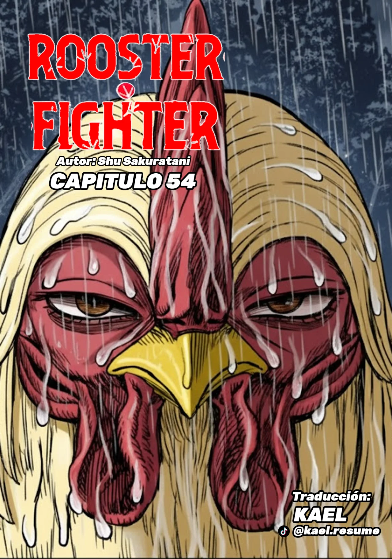 Niwatori Fighter Capítulo 54 - Page 4