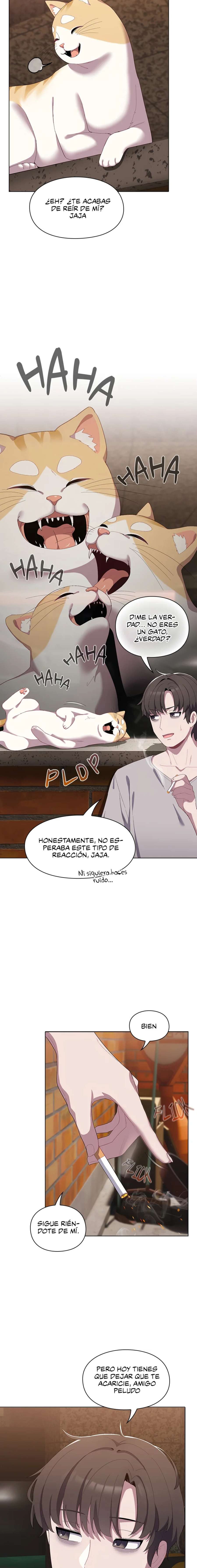 Maullidos de amor Capítulo 1 - Page 14