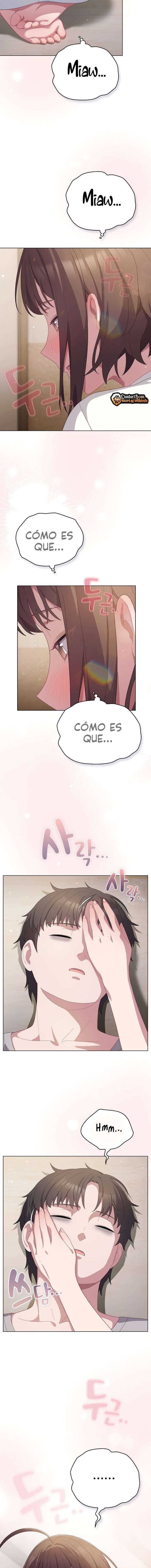 Maullidos de amor Capítulo 13 - Page 5