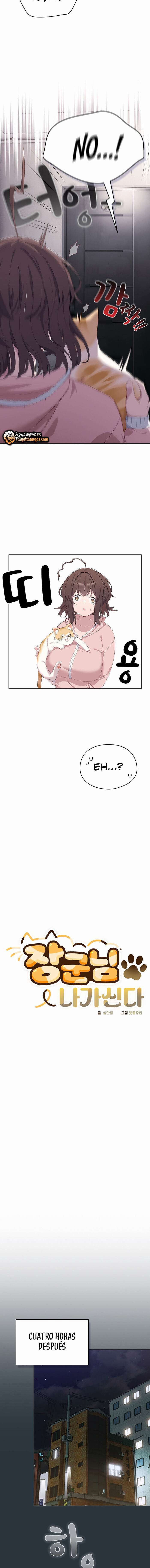 Maullidos de amor Capítulo 2 - Page 2