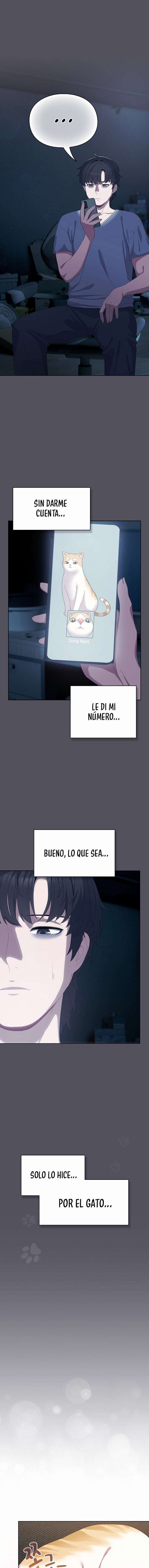 Maullidos de amor Capítulo 3 - Page 17
