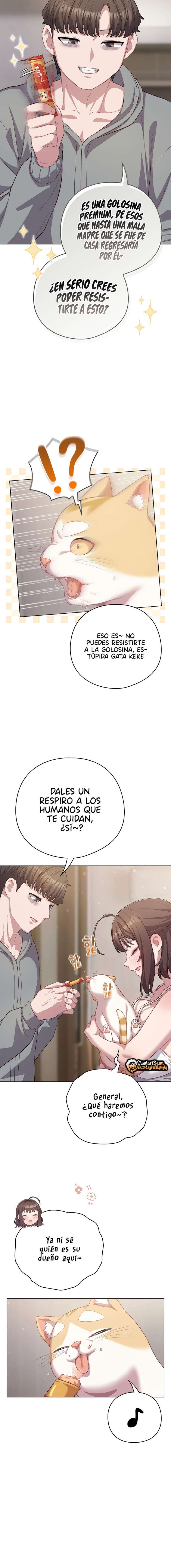Maullidos de amor Capítulo 33 - Page 11