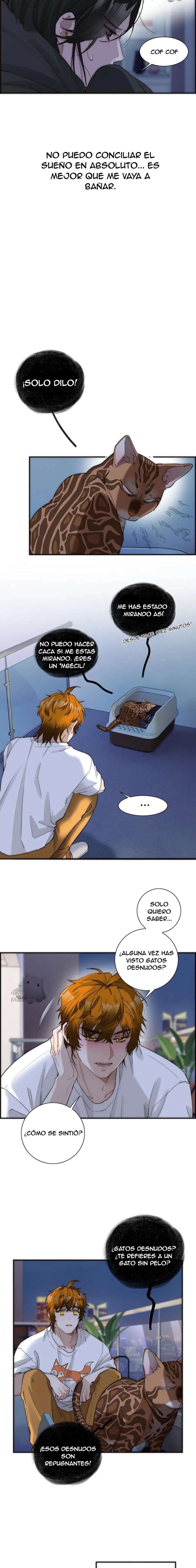 La venganza de Kaylen y la redención del zorro Capítulo 19 - Page 3