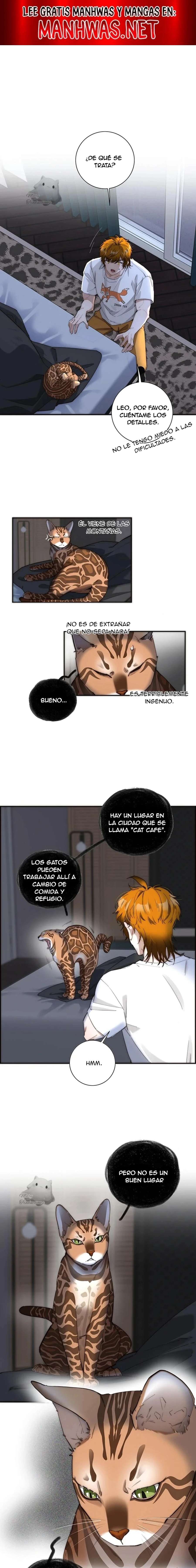 La venganza de Kaylen y la redención del zorro Capítulo 20 - Page 1
