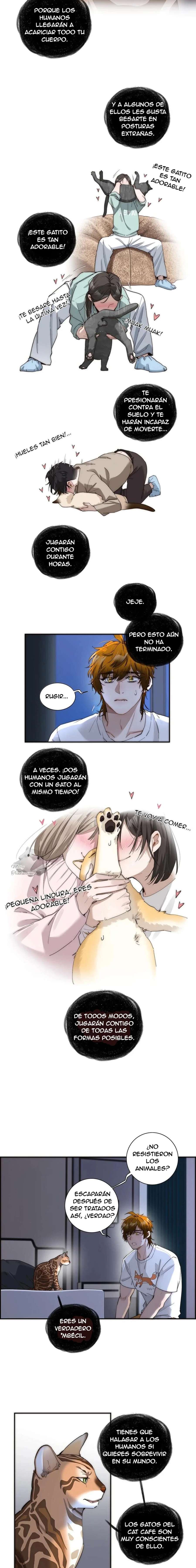 La venganza de Kaylen y la redención del zorro Capítulo 20 - Page 2