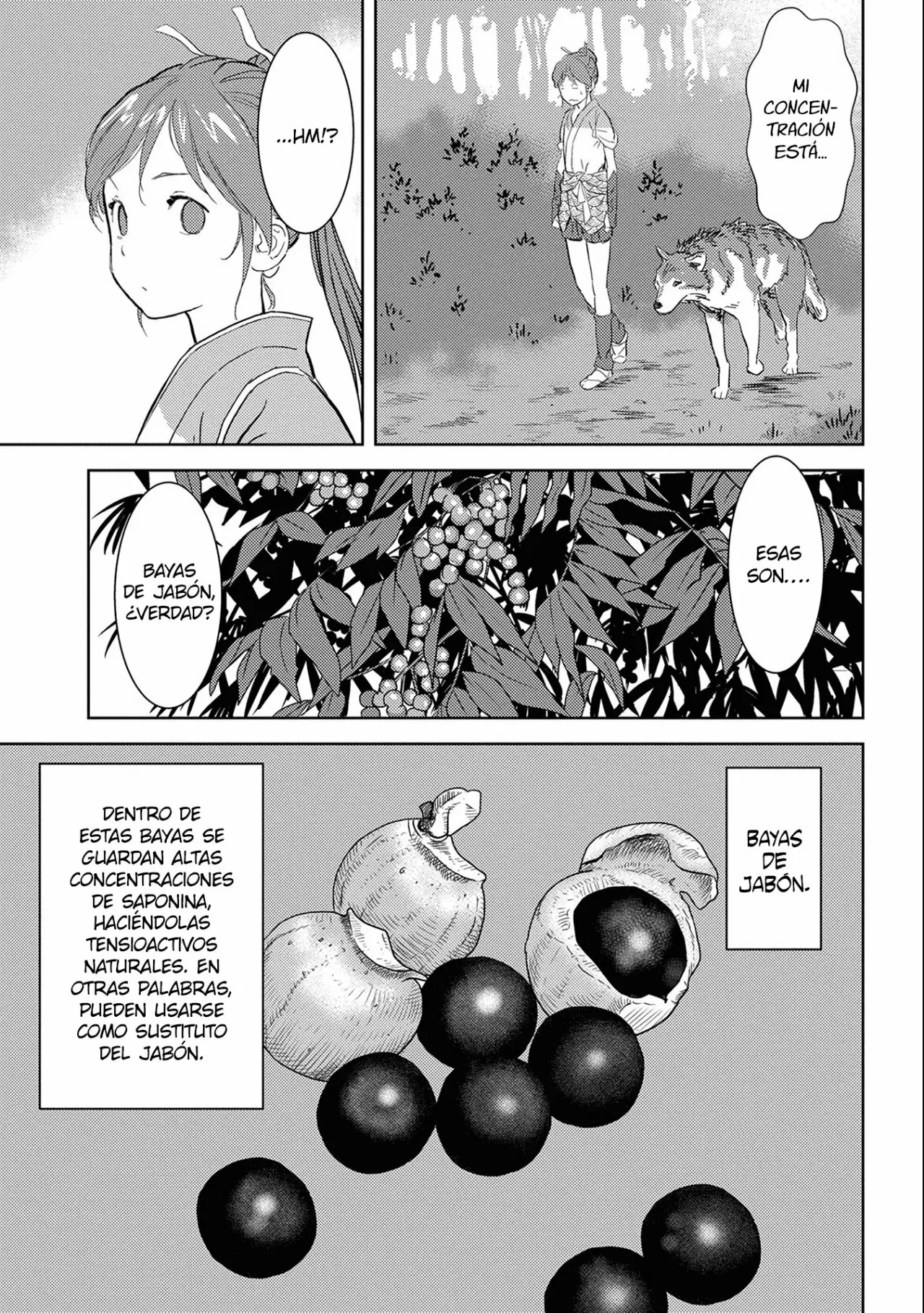 Sengoku Komachi Kuroutan: Noukou Giga Capítulo 4 - Page 8
