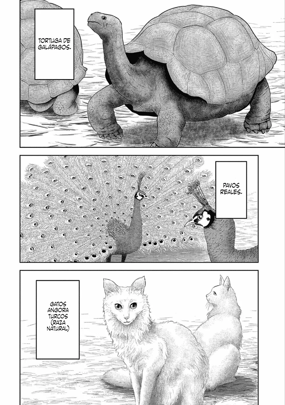 Sengoku Komachi Kuroutan: Noukou Giga Capítulo 43 - Page 32