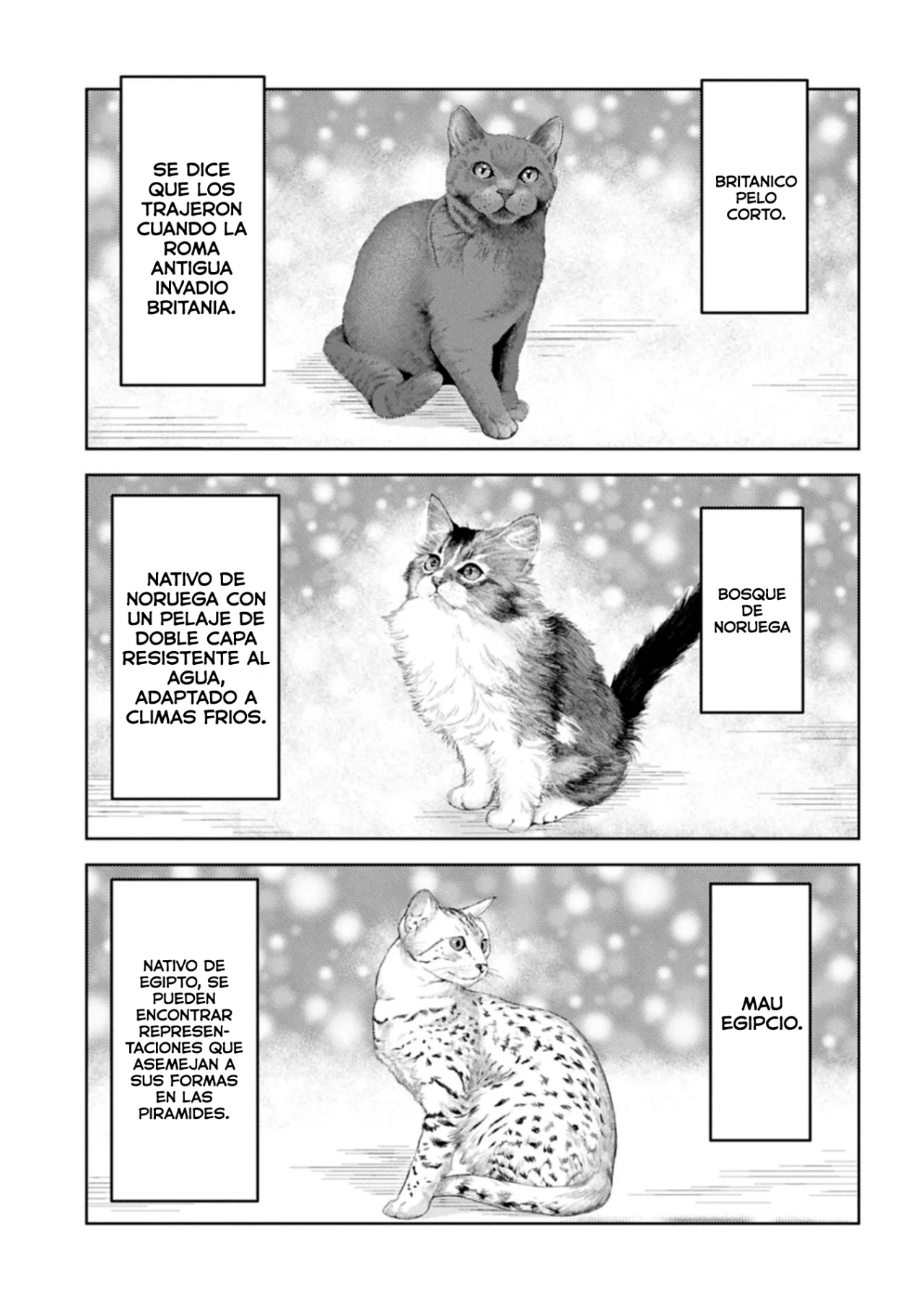 Sengoku Komachi Kuroutan: Noukou Giga Capítulo 89 - Page 14