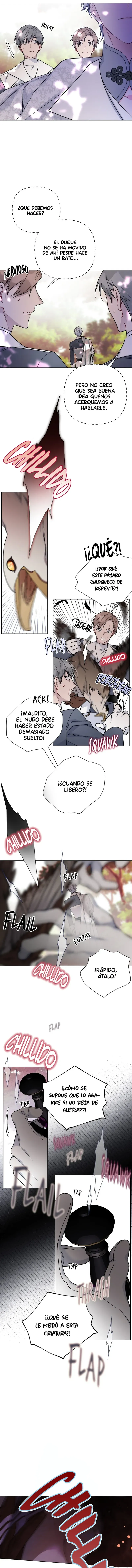 Luci, La Caballero Que Vive Como Una Dama Capítulo 93 - Page 9