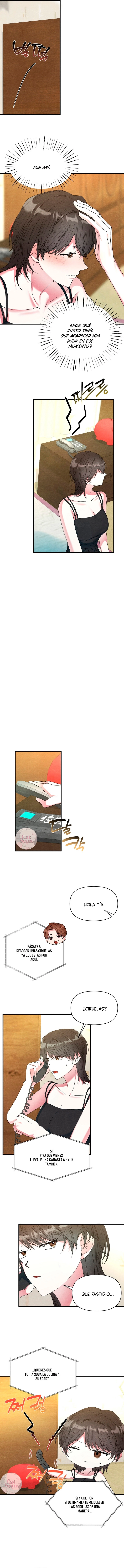 A mi albaricoquero Capítulo 4 - Page 3