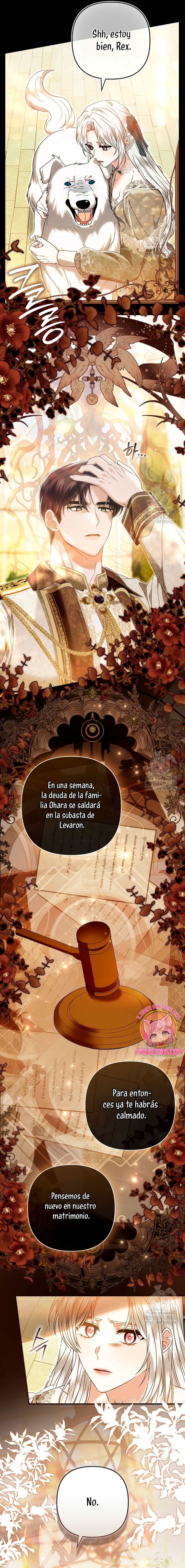 Como rechazar un matrimonio perfecto Capítulo 17 - Page 23