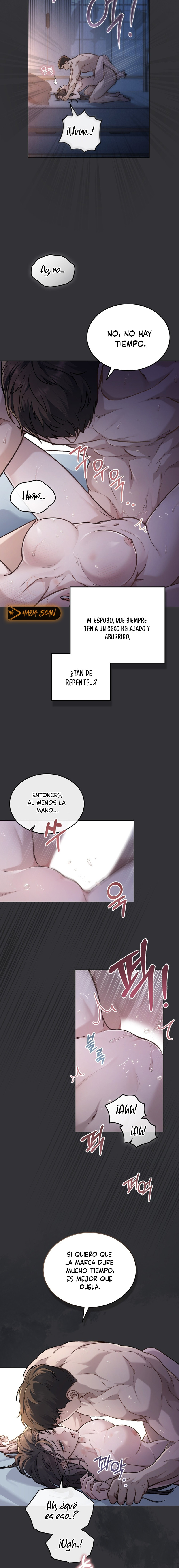 Feliz locura Capítulo 1 - Page 5