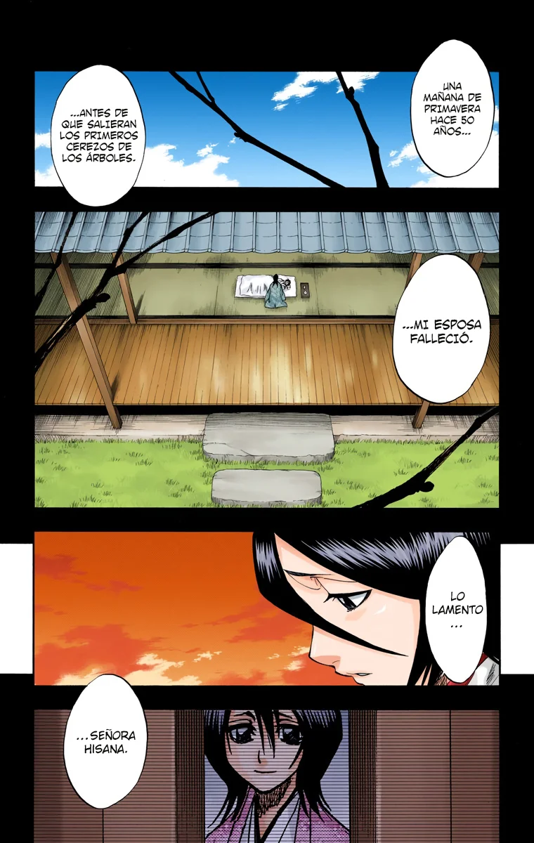 Bleach – Digital Colored Comics Capítulo 179 - Page 17