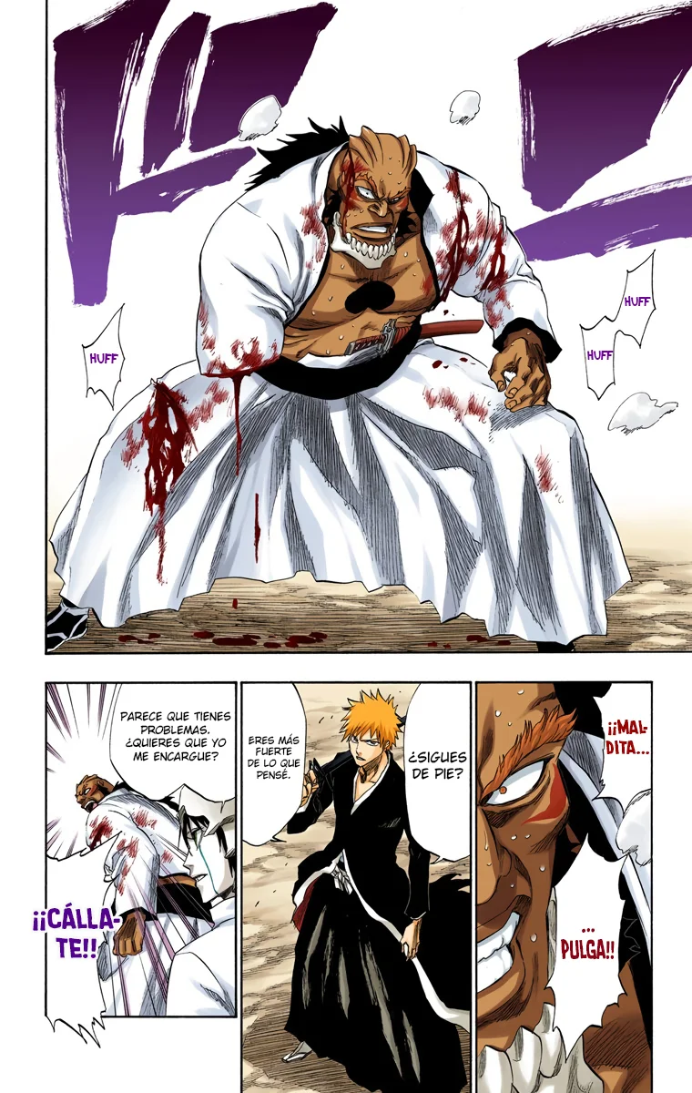 Bleach – Digital Colored Comics Capítulo 193 - Page 14