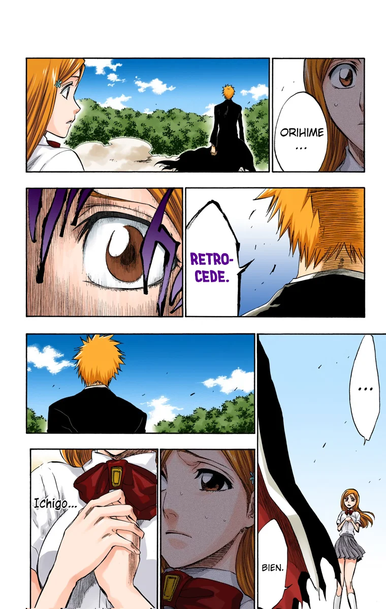 Bleach – Digital Colored Comics Capítulo 193 - Page 8