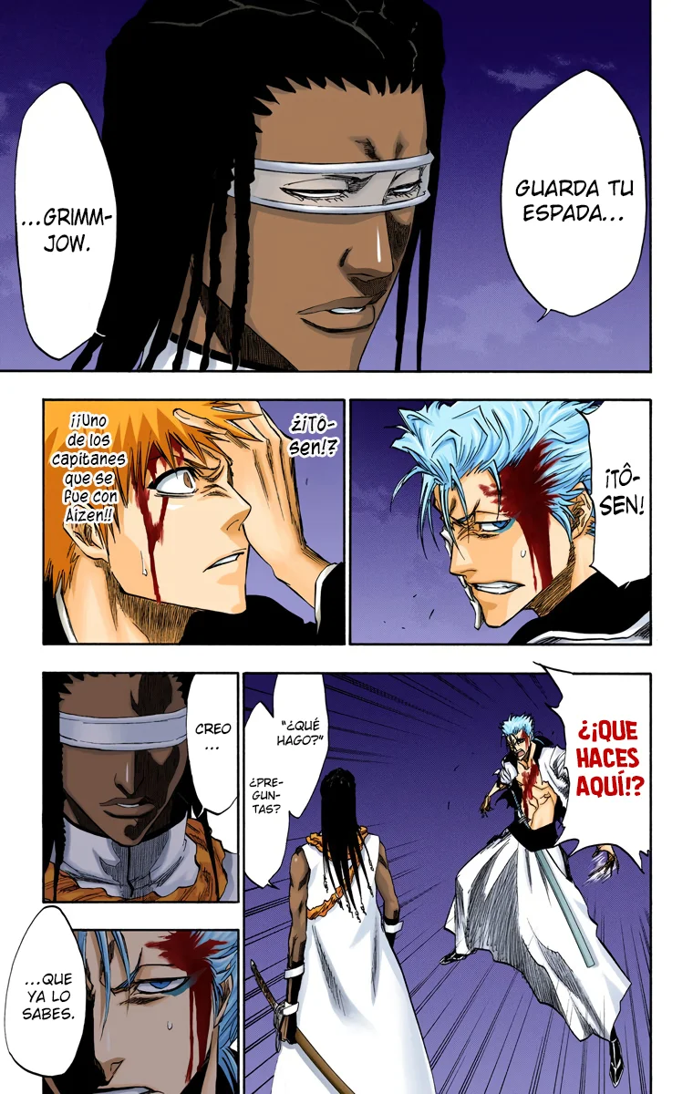 Bleach – Digital Colored Comics Capítulo 212 - Page 8