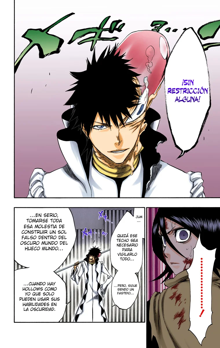 Bleach – Digital Colored Comics Capítulo 267 - Page 7