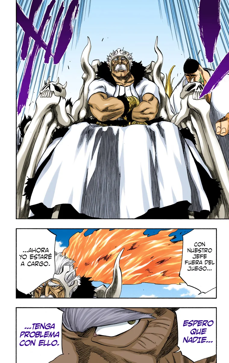 Bleach – Digital Colored Comics Capítulo 318 - Page 12
