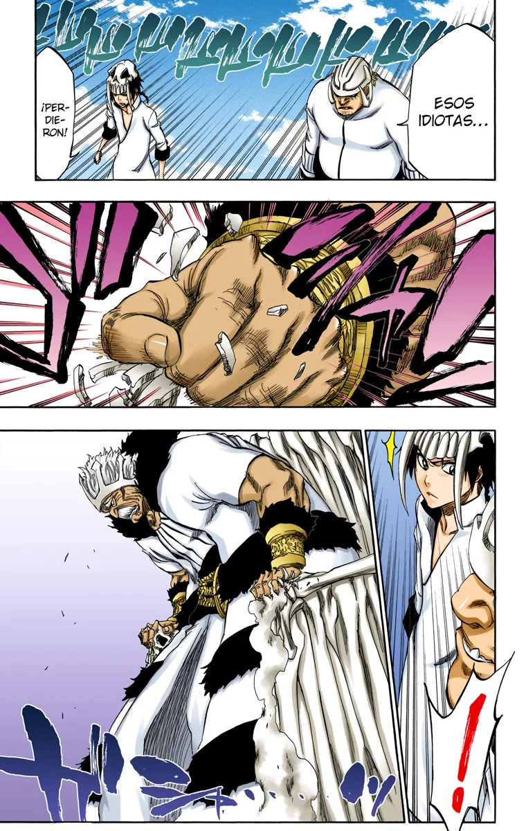 Bleach – Digital Colored Comics Capítulo 328 - Page 17