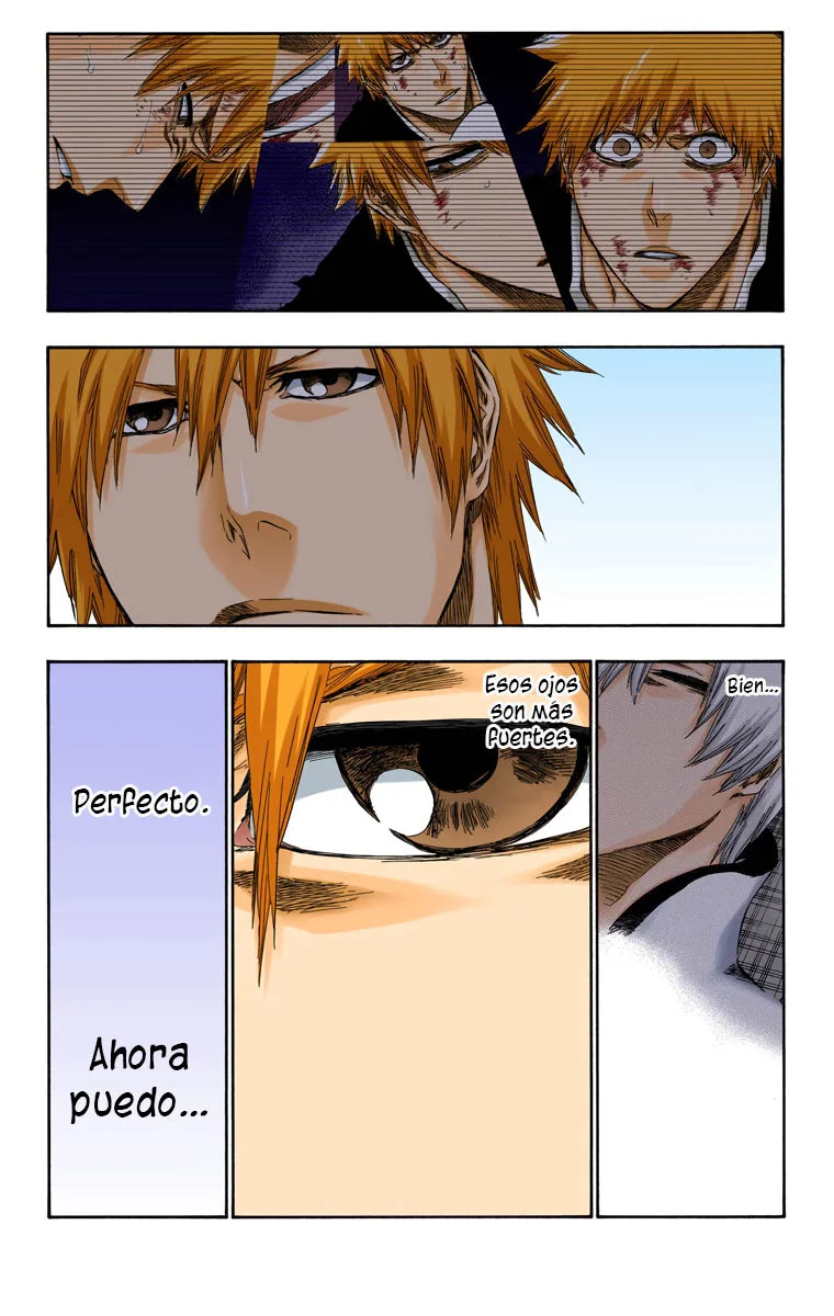Bleach – Digital Colored Comics Capítulo 417 - Page 13