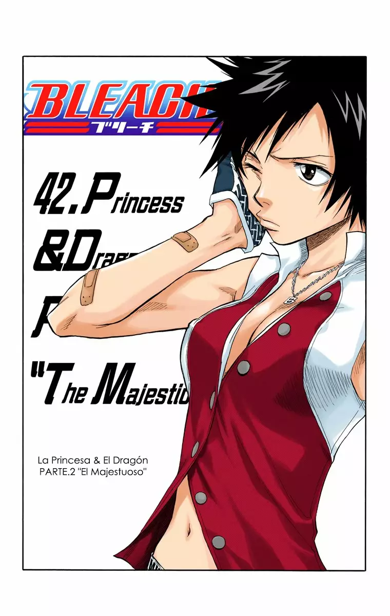 Bleach – Digital Colored Comics Capítulo 42 - Page 7