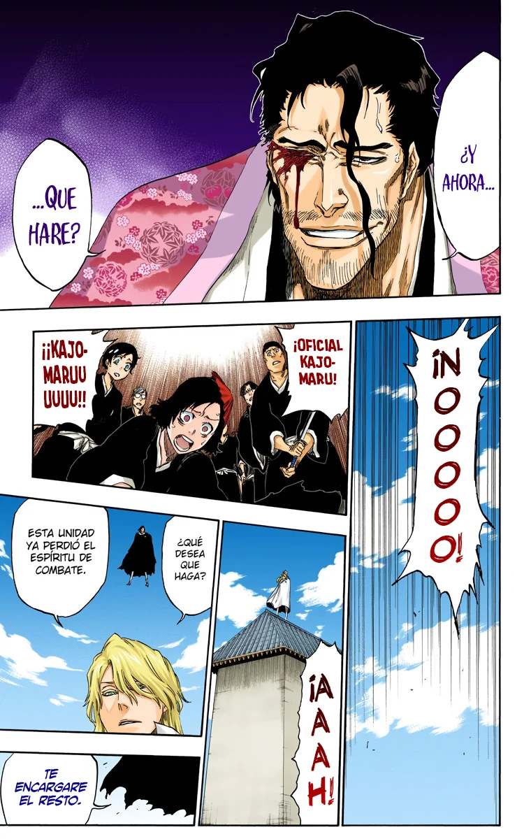 Bleach – Digital Colored Comics Capítulo 497 - Page 14