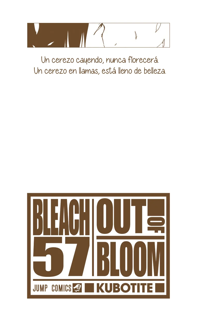 Bleach – Digital Colored Comics Capítulo 500 - Page 3