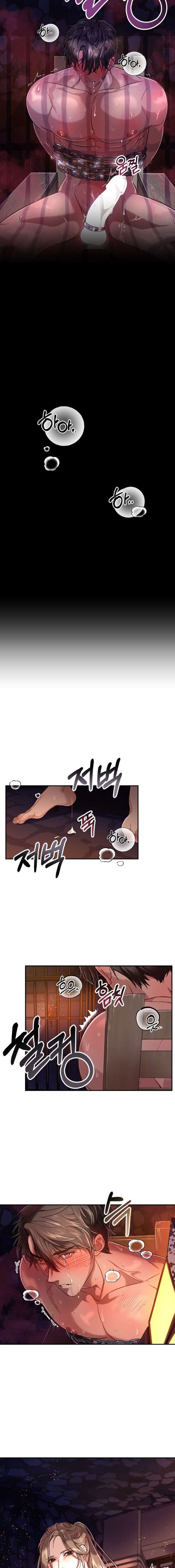 Acerca de la destrucción exclusiva Capítulo 2 - Page 11