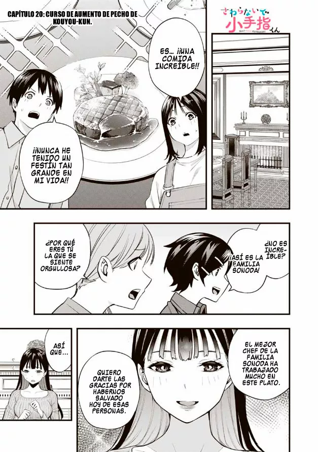 Sawaranaide Kotesashi-kun Capítulo 20 - Page 2