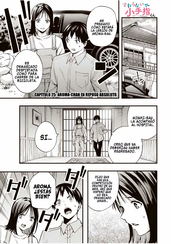 Sawaranaide Kotesashi-kun Capítulo 25 - Page 2